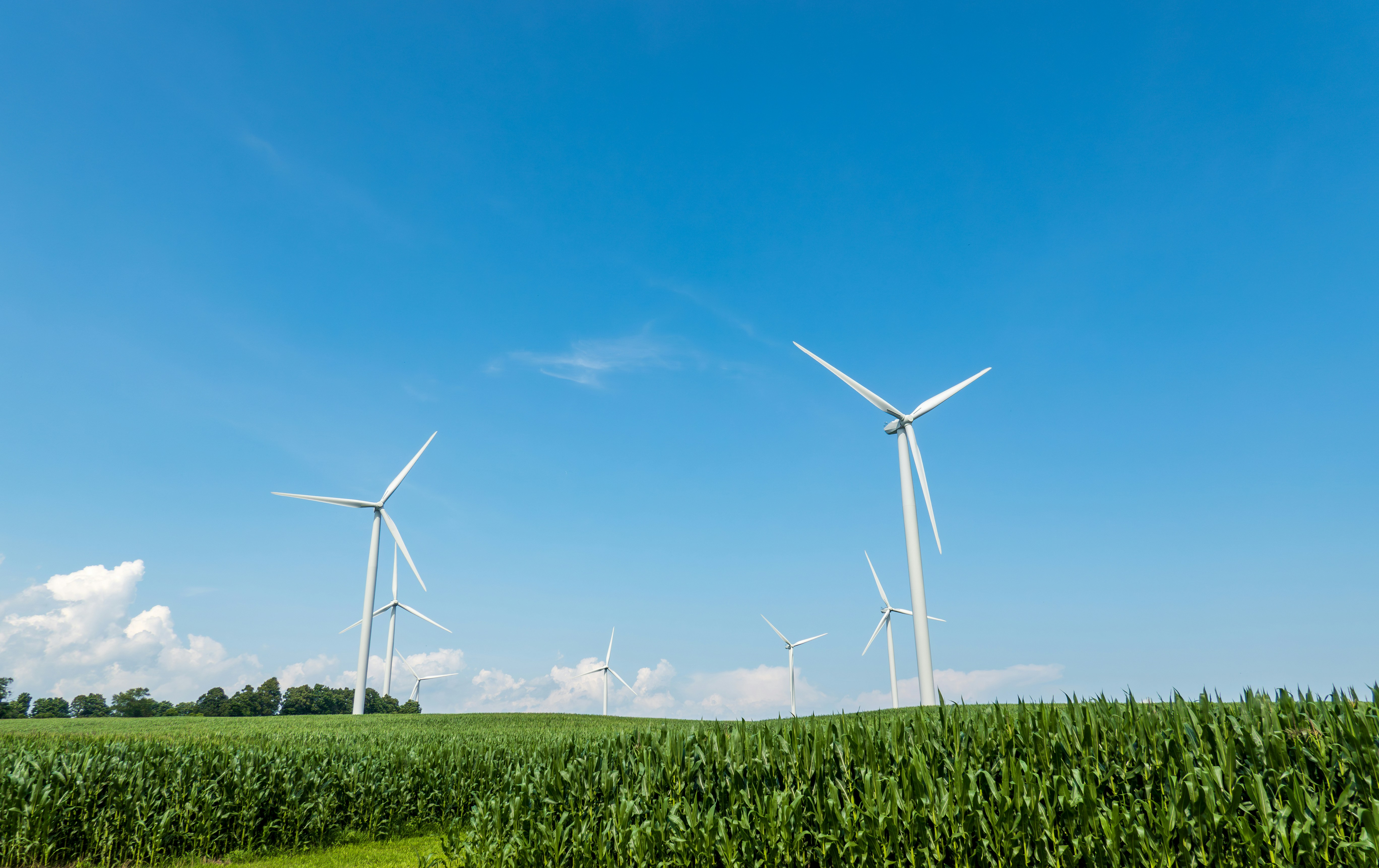 Wind turbine maintenance